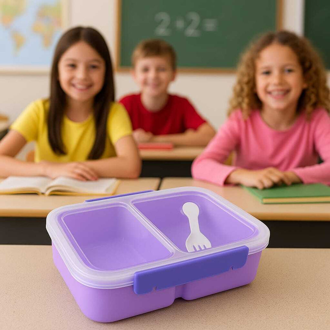 PICNIC LUNCH-800ML-PURPLE-BOX