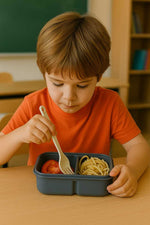 Load image into Gallery viewer, PICNIC LUNCH-800ML-GREY-BOX
