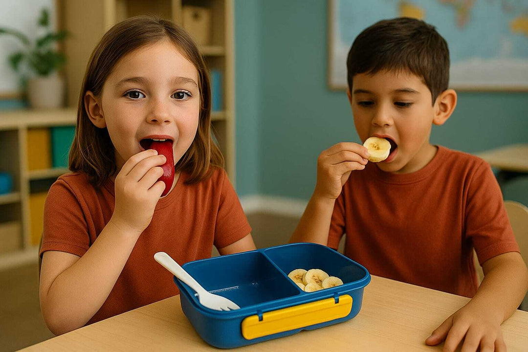 PICNIC LUNCH-800ML-BLUE-BOX