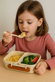 PICNIC LUNCH-800ML-BEIGE-BOX