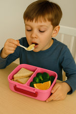 Load image into Gallery viewer, PICNIC LUNCH-800ML-PINK-BOX
