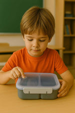 Load image into Gallery viewer, PICNIC LUNCH-800ML-GREY-BOX
