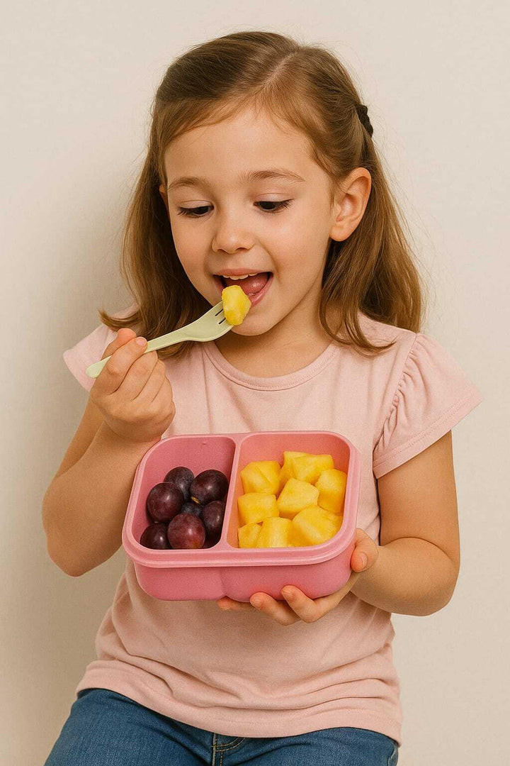 PICNIC LUNCH-800ML-PINK-BOX